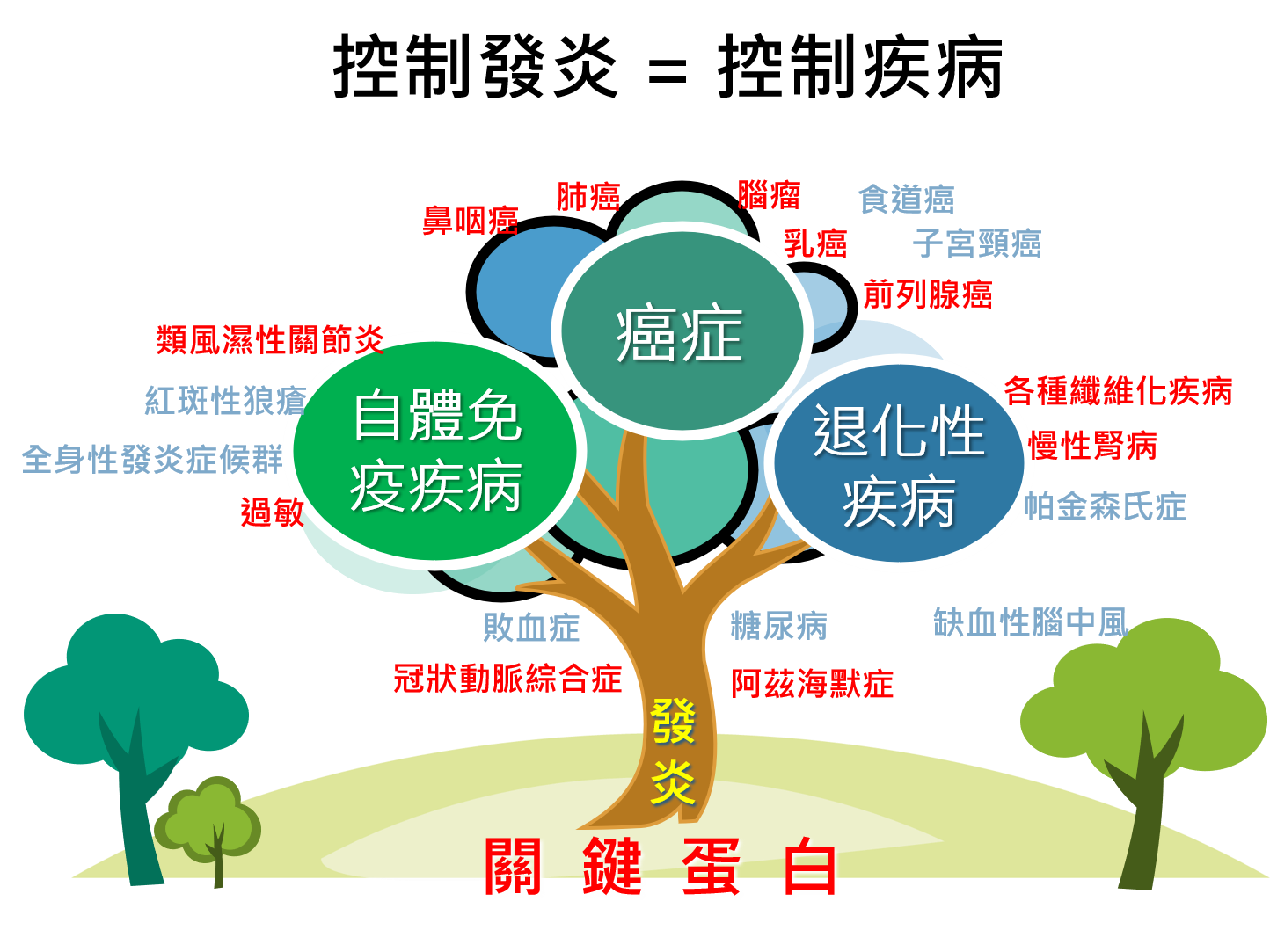 其他發炎相關疾病